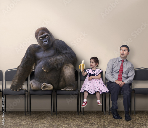 Photo: Caucasian girl offering banana to gorilla Caucasian girl offering banana to gorilla