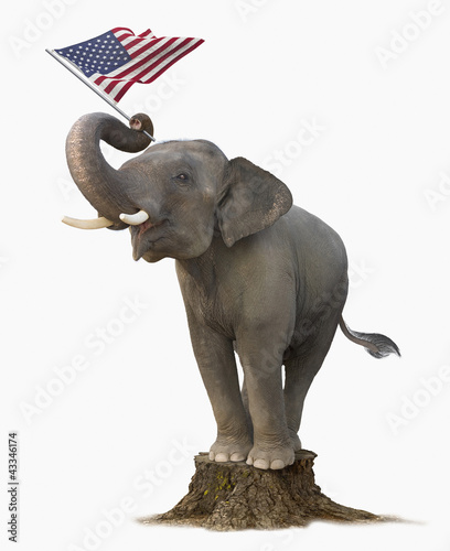 Photo: Elephant on tree stump holding American flag Elephant on tree stump holding American flag