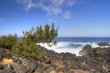 Paysage côtier du Sud de l'île de La Réunion