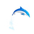 vector icon dolphin