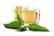 Nettle tea