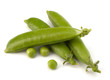 Fresh green pea pod