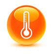Thermometer Orange Button