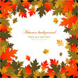 Vector: Background autumn leaves frame Background autumn leaves frame