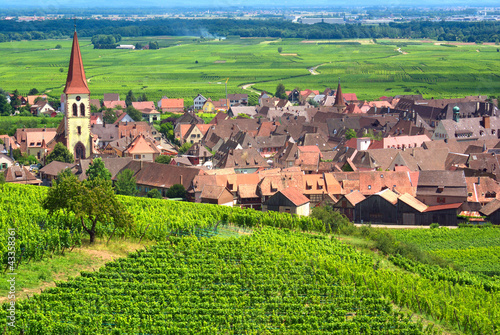 Photo: Vignoble à Ammerschwihr , Alsace (Fr). Vignoble à Ammerschwihr , Alsace (Fr).
