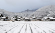 snow plantation