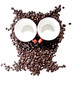Foto: conteptual owl made with coffee beans conteptual owl made with coffee beans