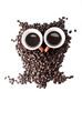 conteptual owl made with coffee beans