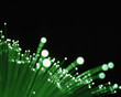 Close up of green fiber optic wires