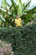 Hispanic boy leaning on ivy-covered wall