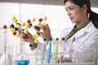 Hispanic scientist looking at molecule model