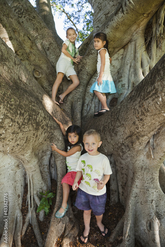 Photo: Children standing in large tree Children standing in large tree