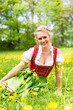 Junge Frau in traditionellem Dirndl auf einer Frühlingswiese