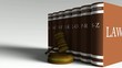Vídeo: Gavel & Law books Gavel & Law books