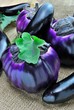 Melanzane rotonde