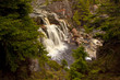 Remote waterfall in forest