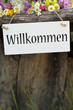 willkommwn in der Blumenwelt