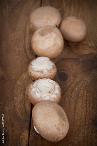Foto: Champignons Champignons