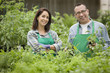Hispanic florists working in nursery