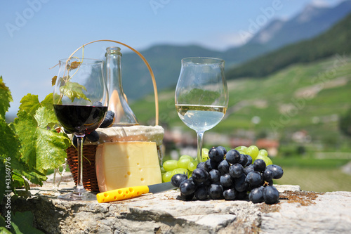 Foto: Wine and grapes. Chateau de Aigle, Switzerkand Wine and grapes. Chateau de Aigle, Switzerkand