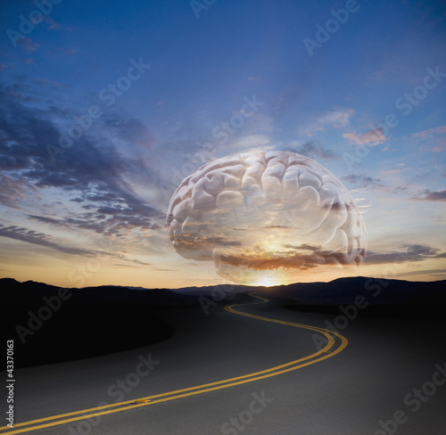 Photo: Large brain floating over remote highway Large brain floating over remote highway
