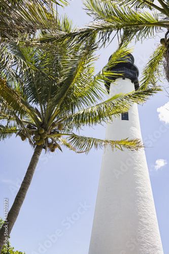 Photo: Lighthouse and tropical palm trees Lighthouse and tropical palm trees