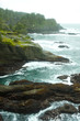 Ocean and rocky shore of remote area