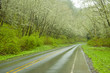 Remote highway through forest