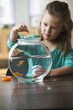 Caucasian girl feeding fish in fish bowl