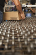 Worker picking up box from conveyor belt