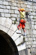 Enfant et accrobranche