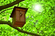 Vogelhaus im Grünen