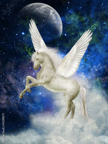 Illustration: Pegasus Pegasus