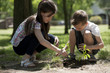 Children planting