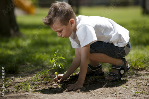 Photo: Little boy planting Little boy planting