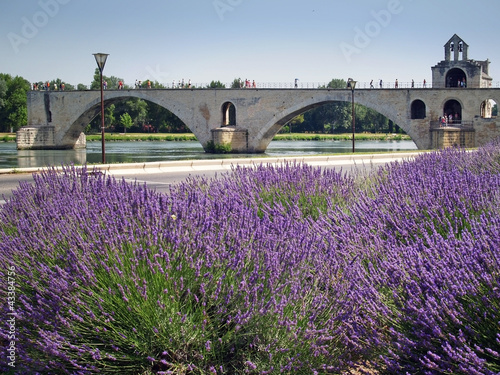 Photo: Pont d'Avignon Pont d'Avignon