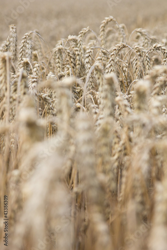 Photo: Kornfeld Kornfeld