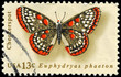 USA - CIRCA 1977 Checkerspot