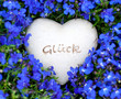 Herz in blauen Blumen