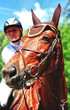 Photo: A rider on horseback A rider on horseback