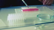 Laboratory