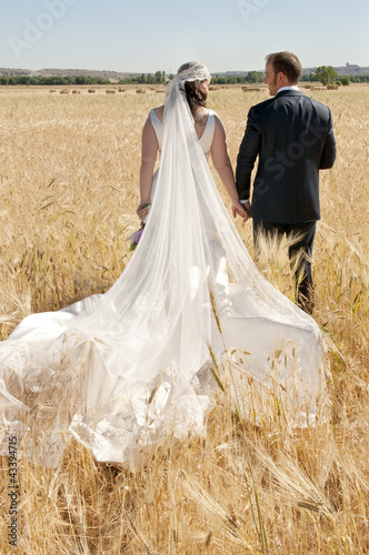Photo: wedding couple in the field wedding couple in the field