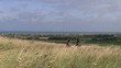 galopper dans les herbes hautes