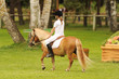 poney