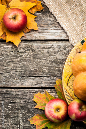 Foto: Autumn background Autumn background