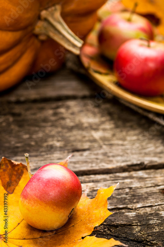 Foto: Autumn background Autumn background