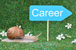 Snail and Career sign