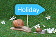 Three snails at the vacation sign
