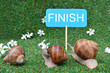 Three snails rushing to the finish