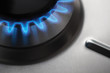 Gas hob cooker